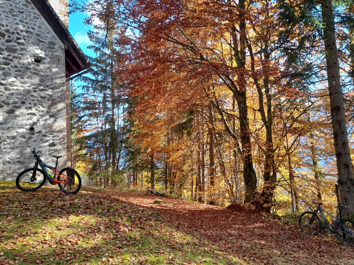 Zitas Ferienwohnung Reisach エクステリア 写真